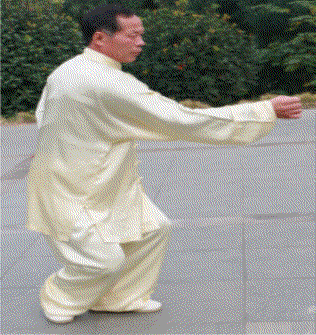 程晋华崩拳.gif